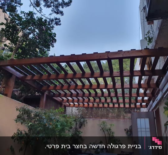 פרגולה מעץ בגינה עם צמחים מסביב